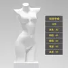 Loja de Lingerie Modelo Roupas Femininas Adereços Loja de Roupas Sutiã Push-Up Meio Comprimento Roupas Íntimas Femininas Modelo Suporte de Exibição de Corpo Humano Falso Meio Comprimento