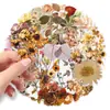 50 Piezas de Pegatinas Transparentes de Plantas Secas, Especímenes Florales Realistas y Pegatinas Decorativas de Mascotas Impermeables para Diarios