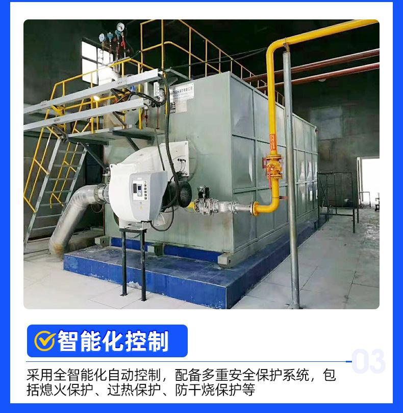 4燃气燃油蒸汽锅炉-1_06.jpg