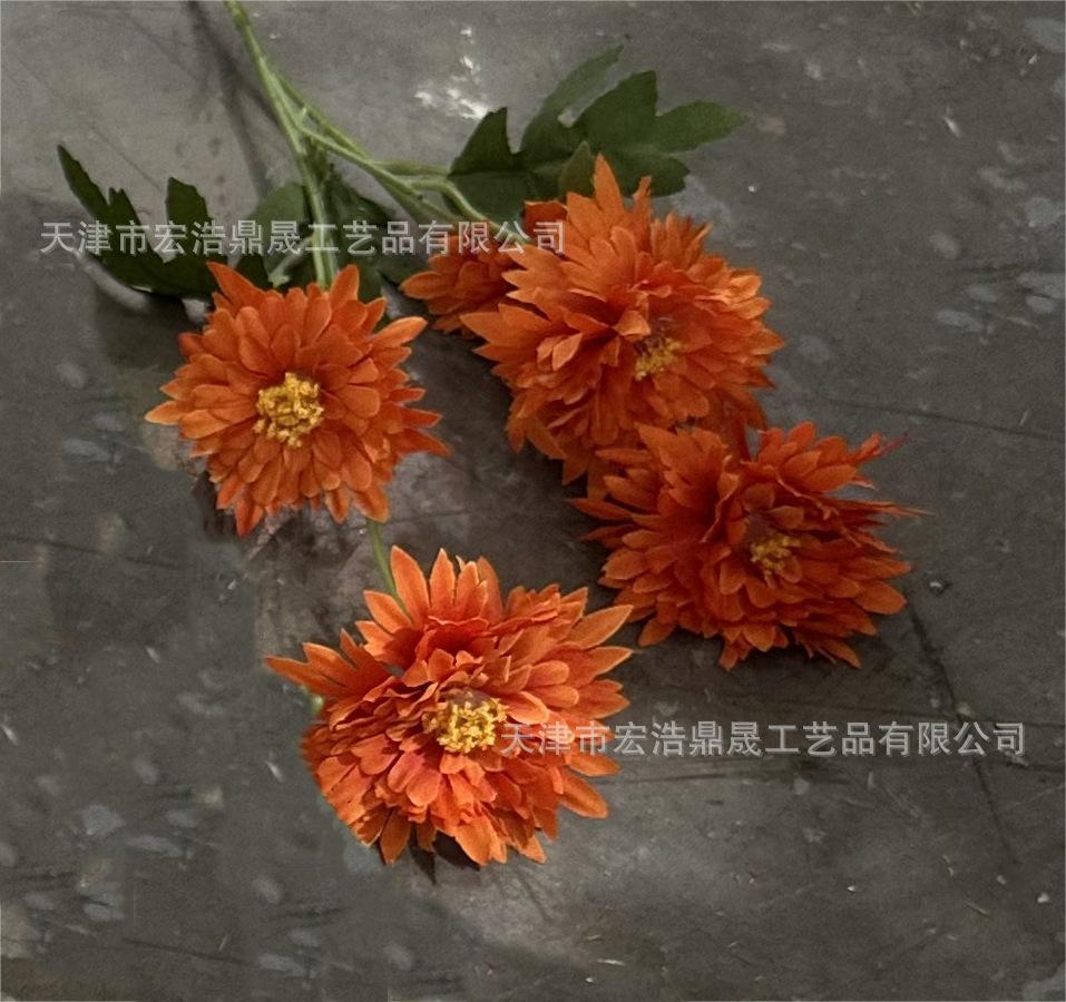 微信图片_20230723132443(4)