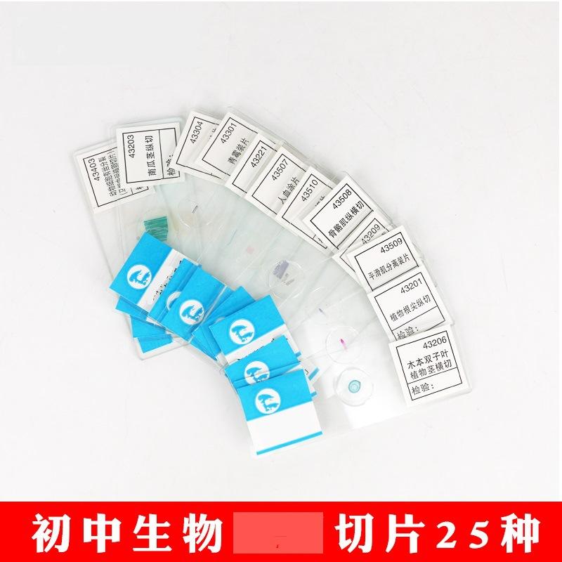 25种切片3