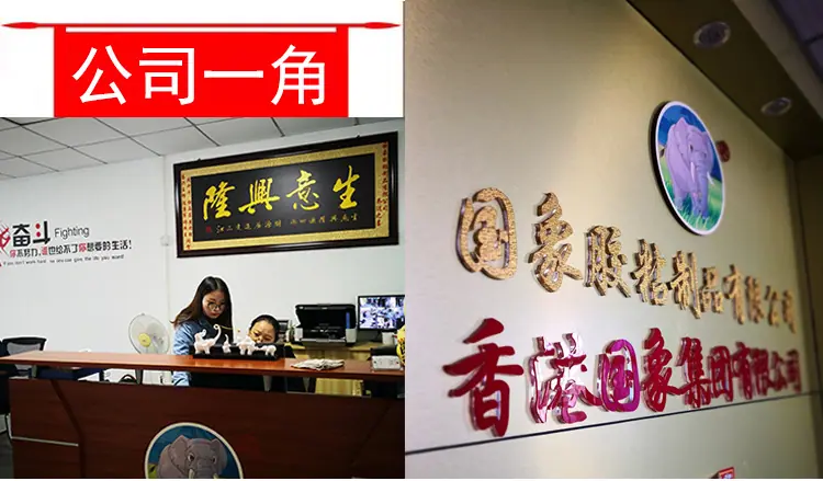 公司一角.jpg