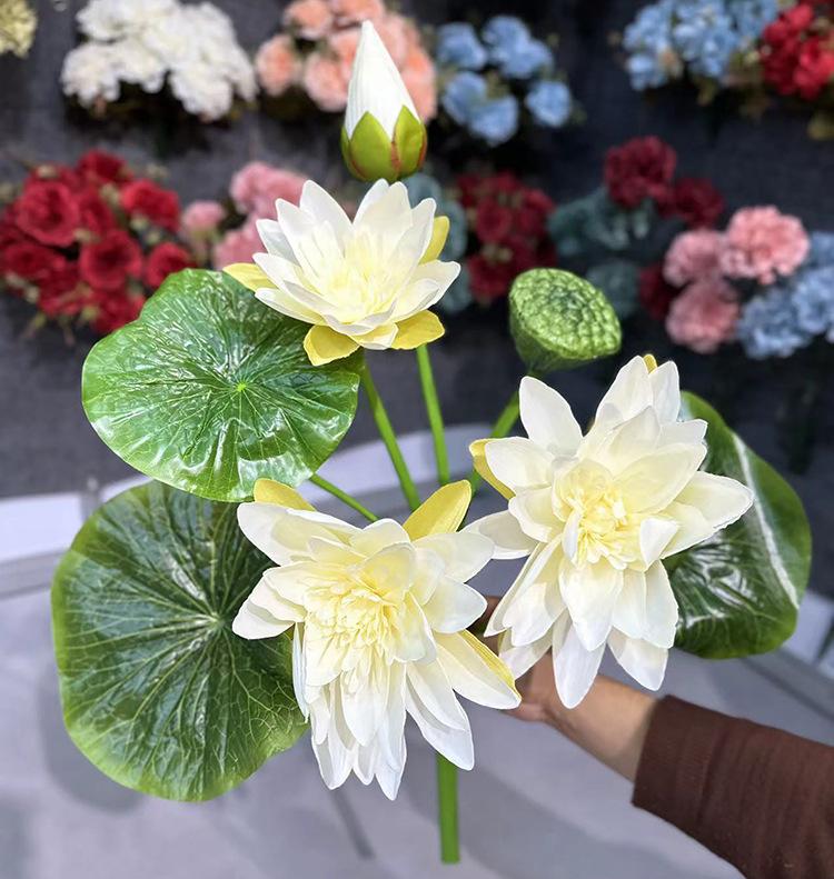 3花1蕾富贵荷花- -白色.jpg
