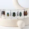 Especímenes Delgados de Insectos Reales, Adornos de Escritorio de Animales Reales, Escorpiones, Tortugas Doradas, Cigarras, Materiales Didácticos para Niños, Manualidades de Resina