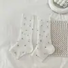 Conjuntos de Meias para Primavera e Verão, Meias com Ponto de Alça de Bolinhas, Meias Cinzas Estilo Miu de Cano Médio, Meias Finas Simples Versáteis Respiráveis