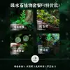 Pedras Vazias Absorventes de Água para Plantas com Musgo Micro Paisagem Mini Pequeno Vasos Plantas Verdes Hidropônicas Paisagismo Ecológico