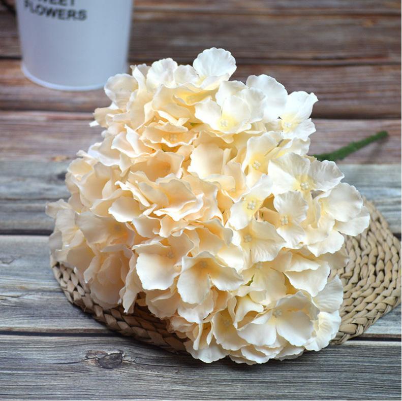 5头绣球香槟色