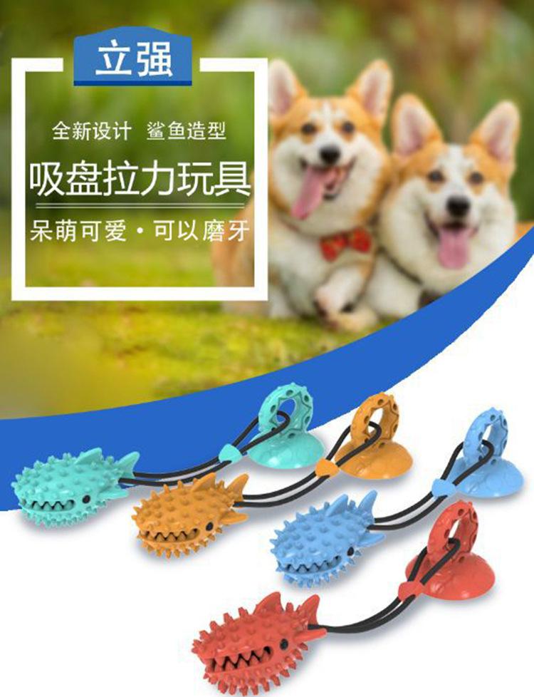 鲨鱼_01.jpg