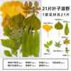 Espécimes de Plantas com Folhas Reais de Outono, Adesivos Artesanais, Flores Secas, Flores Prensadas, Pinturas Decorativas de Folhas DIY, Marcadores de Página de Plantas