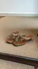 Versión de Piel de Oveja~Chanclas de Tacón Alto Estilo Retro Francés para Mujer, Adecuadas para Usar en Verano, Tacones de Cuña Cómodos, Chanclas de Piel Genuina