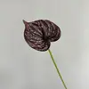 Antúrio Vermelho PU Toque Realista PU Lírio Calla Antúrio Branco Pequeno Lótus Guan Yin Adereços de Casamento Decoração de Cena Realista de Alta Qualidade