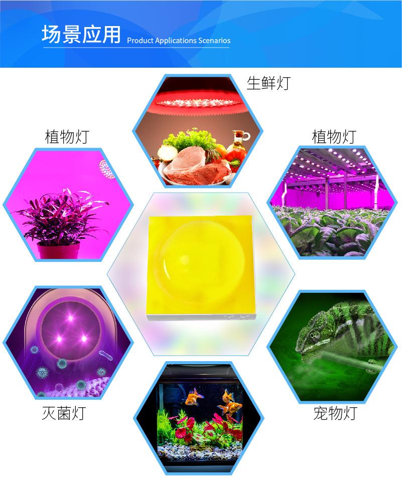 B详情3535陶瓷-04