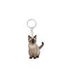 Chaveiro de gato fofo, acessórios de anel redondo de acrílico, pingente de impressão plana 2D dupla face