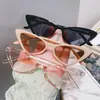Novos Óculos de Sol Femininos Transfronteiriços Moda Olho de Gato INS Moda Óculos de Sol Moda Proteção Solar