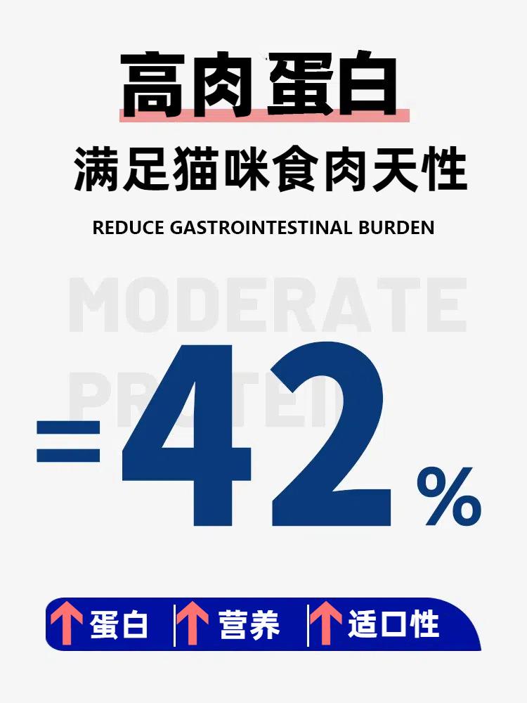 42蛋白猫粮 (15)