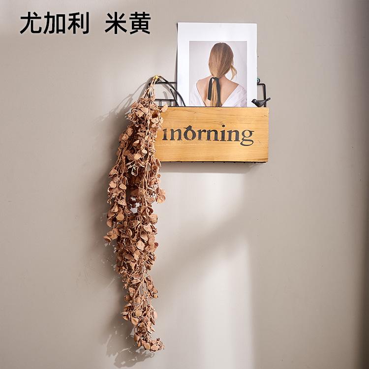 尤加利  米黄