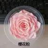 Rosa Eterna Gigante de 10-12 cm Rosa Preservada Flor Eterna Navidad Tanabata Día de San Valentín Regalo de Cumpleaños
