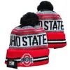 2026 Nuevo Gorro de Lana Tejido para Deportes Universitarios de la NCAA Transfronterizos Gorro de Punto Cálido para Exteriores que Protege los Oídos