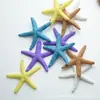 Estrela-do-mar Tartaruga Sereia Pedra Paisagismo Aquário Decoração Micro Paisagem Enfeites Artesanato de Resina