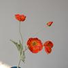 Taobao Tmall fornece atacado luz luxo flor artificial Yu Meiren reunindo papoula flor fotografia de casamento floral flor falsa