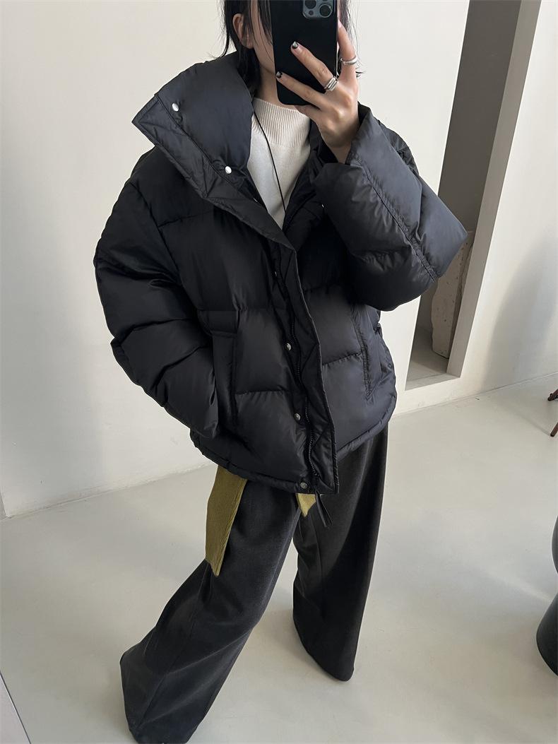 2024-11-26 150208.jpg