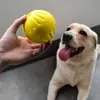 Juguetes para mascotas de eva bola de espuma para perros resistente a mordeduras Frisbee para perros anillo de tiro juguetes flotantes para agua fabricantes al por mayor en stock