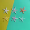 Venta caliente lentejuelas estrella de mar resina accesorios de joyería accesorios para el cabello funda de teléfono móvil bolsa juguete pegamento cremoso zapatos flor material diy lote