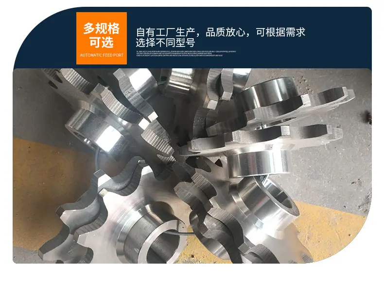 链轮_11.jpg