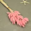 Flores Secas, Cola de Conejo, 60 Piezas/Manojo, Ramo de Lujo Ligero, Adornos de Flores Reales, Pequeño Ramo de Flores Eternas Regalo, Materiales de Flores Reales