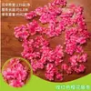 Decoración de Techo de Enredadera de Sakura, Enredadera de Flores Artificiales, Flor Falsa para Cubrir Tuberías de Agua de Calefacción y Aire Acondicionado, Guirnalda de Flores para Bodas