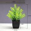 Venda quente transfronteiriça Simulação de planta Planta falsa Planta verde Decoração interna e externa Simulação de eucalipto em vaso de plástico Planta pequena em vaso