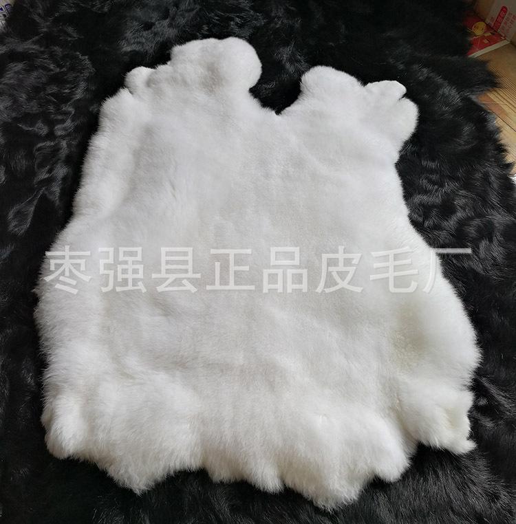 IMG_20180813_110626.jpg