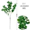 O eucalipto de eucalipto de Amazon deixa a castanha verde da planta da simulação multicolor com a haste que pendura folhas brancas do eucalipto da geada 3D
