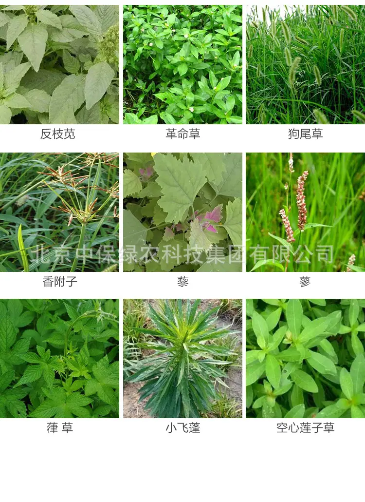 747草甘膦详情_07.jpg