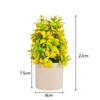 Nova Begônia Artificial Mais Vendida na Amazon Planta Verde em Vaso Estilo Europeu Fresca Decoração para Casa Fábrica Planta Verde Decorativa