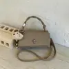 Bolso Pequeño Simple con Patrón de Lichi para Mujer 2026 Nuevo Estilo Bolso de Mano Tipo Almohada Bolso Cruzado Texturizado para Hombro de Principios de Primavera