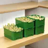 Olla para Germinar Brotes Herramienta Mágica para Brotes de Verduras Hidropónicas Caseras Bandeja para Plántulas de Siembra sin Suelo para Guisantes y Frijol Mungo