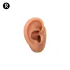 Modelo de Exhibición de Auriculares de Oreja de Silicona Joyería de Pendientes de Oreja Práctica de Limpieza de Orejas Prop de Enseñanza de Simulación del Cuerpo Humano