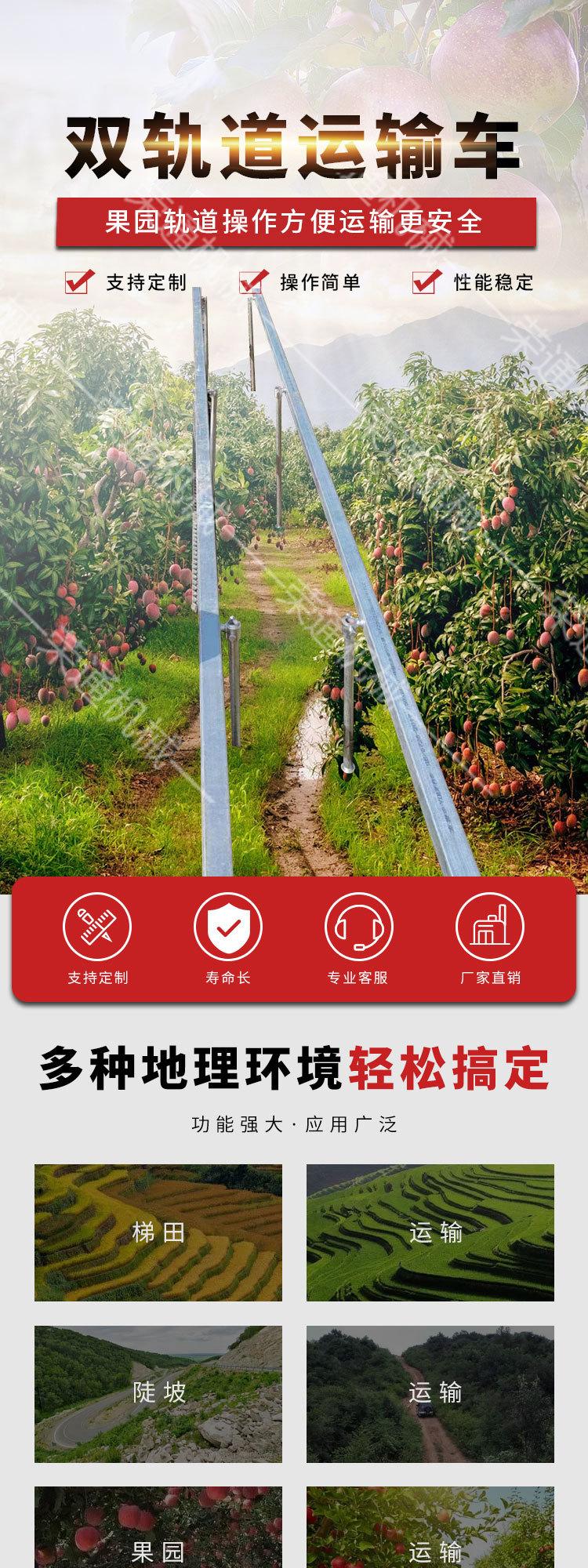 0407双链轨运输车8