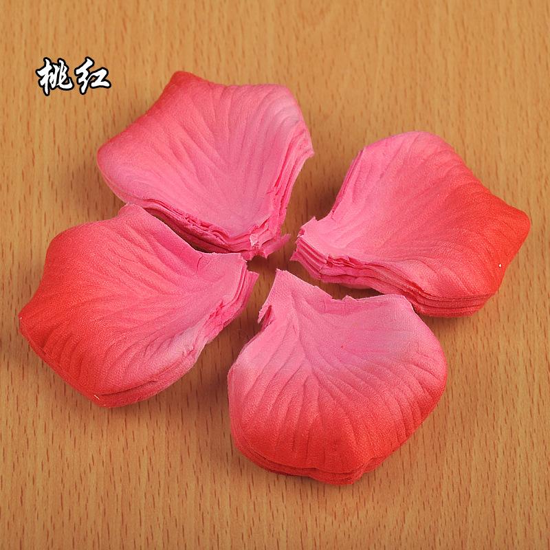 2810719860_1354842517