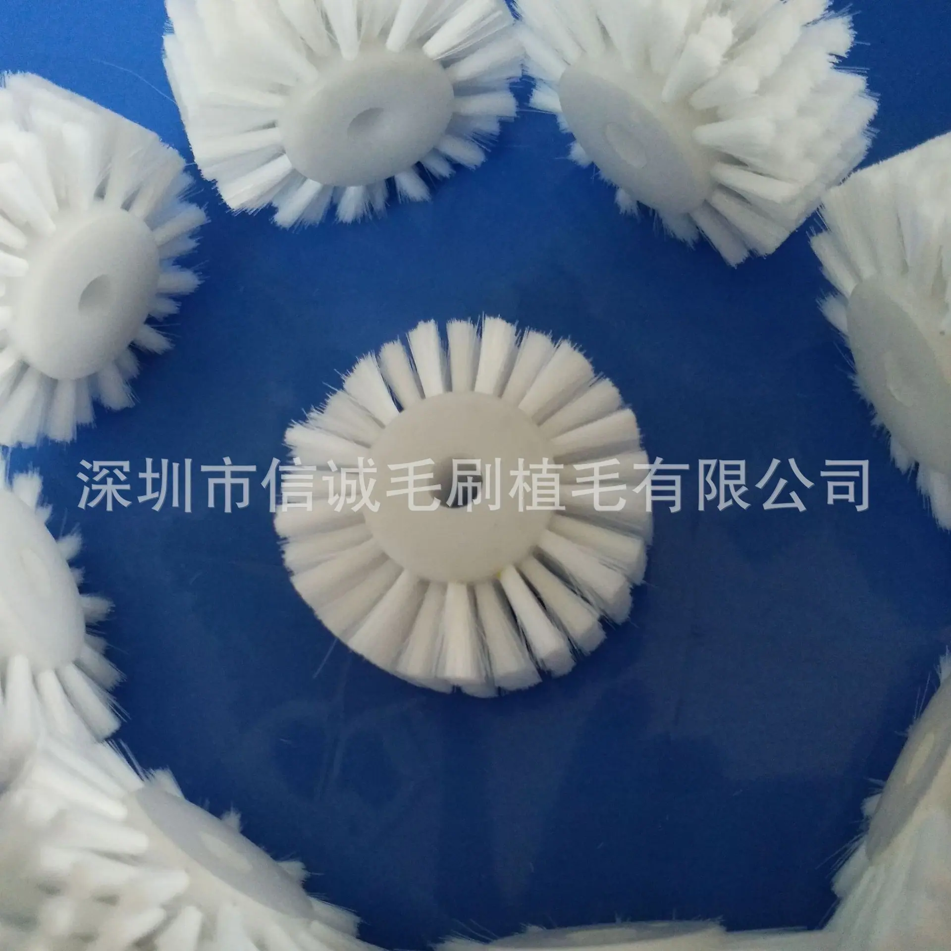工业毛刷