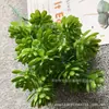 Atacado simulação de plantas verdes plantas suculentas spray de cor lótus cabo multi-cor decoração de casa planta arranjo de flores materiais