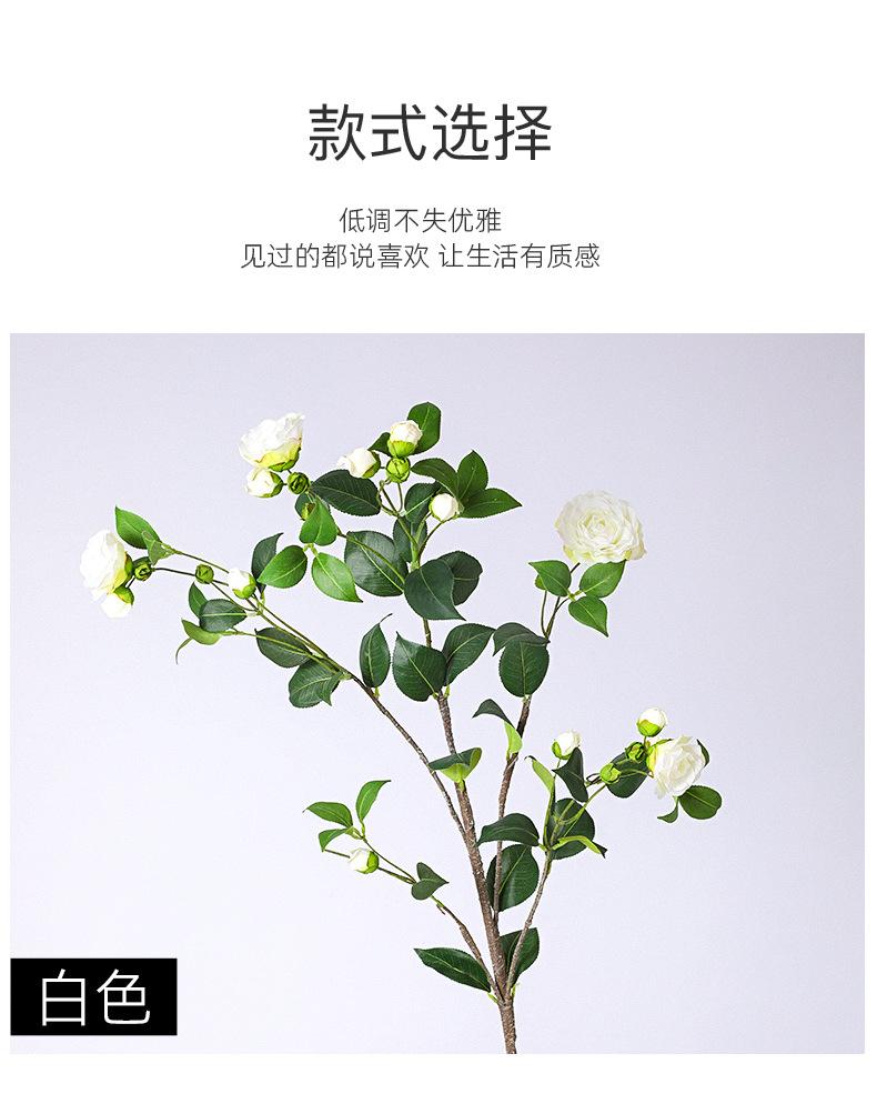 大枝茶花详情图