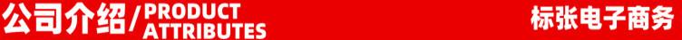 5公司介绍