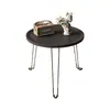 Mesa dobrável para acampamento ao ar livre, mesa de chá, mesa de piquenique portátil, mesa de churrasco ao ar livre, mesa de piquenique espessa e à prova d'água para viagens de carro