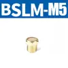 Silenciador de Válvula Solenoide de Cabeza Plana y Punta de Cobre Silenciador de Plástico Bsl-01/02/03/04 Reducción de Ruido Neumático