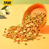 Ganyuan Pacote Individual 285g Série Sementes de Girassol Sabor Ovas de Caranguejo, Favas, Nozes, Salgadinhos, Comida de Lazer, Lanches