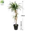 Plantas Verdes Artificiais Grandes para Decoração: Dracena Falsa, Árvore Sangue de Dragão Artificial, Paisagismo de Decoração Suave para Interior, Plantas Verdes Artificiais