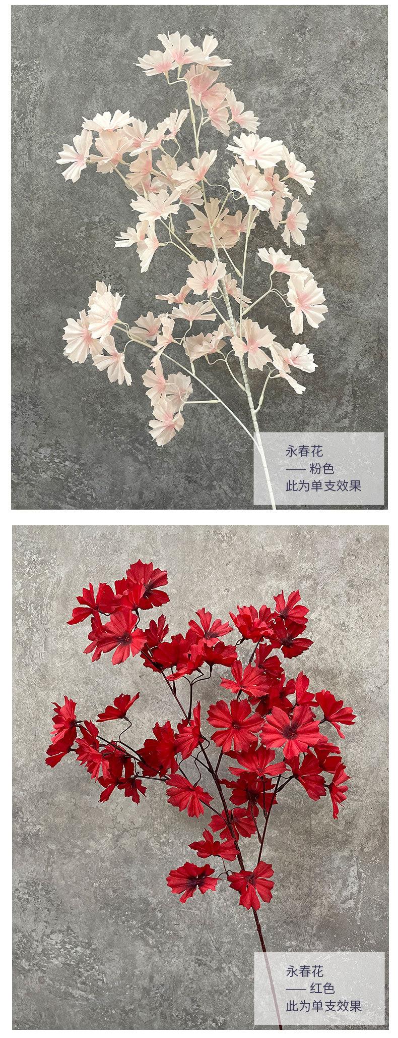 E-_桌面_场景展示2_02.jpg