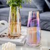 Florero de Vid Estilo ins Simple Creativo Nórdico para Levantar Agua Transparente Florero de Celebridad de Internet para Sala de Estar Adornos de Decoración con Flores Secas
